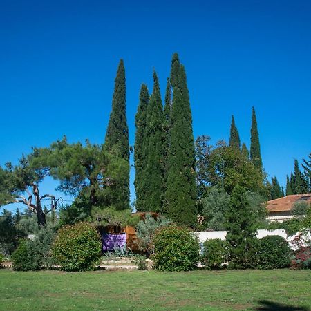 Отель Vintage Provence Арль Номер фото