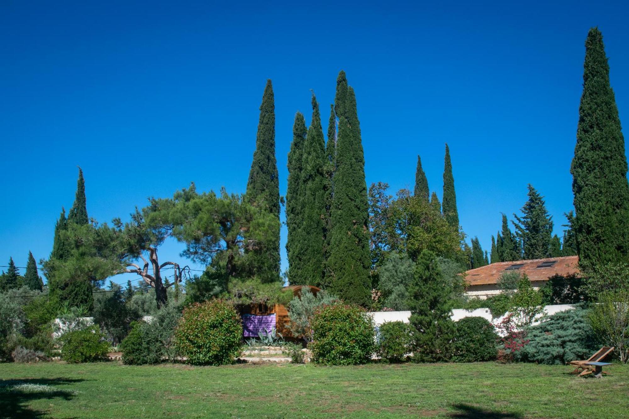 Отель Vintage Provence Арль Номер фото